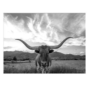 Longhorn Canvas Print